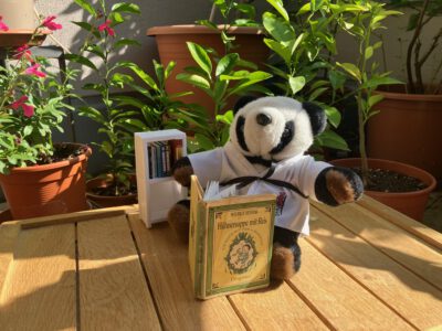 Im August geht unser Dojo in die Sommerpause.